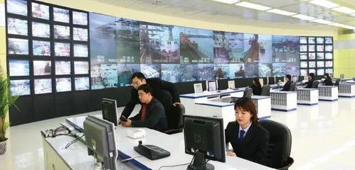 专业群巡礼 青岛港湾职业学院信息技术专业群，信息技术咨询服务探析